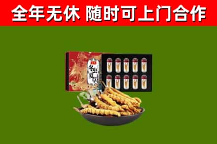 西陵烟酒回收冬虫夏草礼盒.jpg